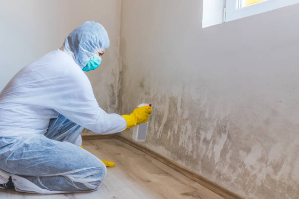 Best Crawl Space Mold Removal  in Somerville, TX