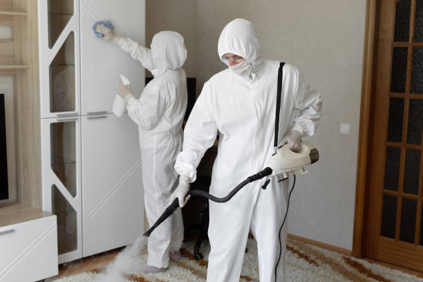 Best Toxic Mold Removal  in Somerville, TX