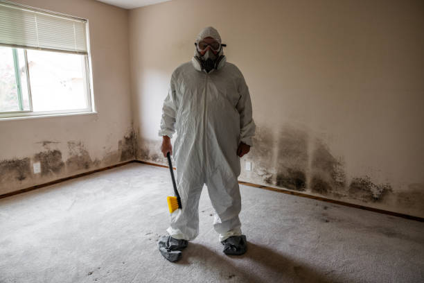 Best Mold Removal Near Me  in Somerville, TX
