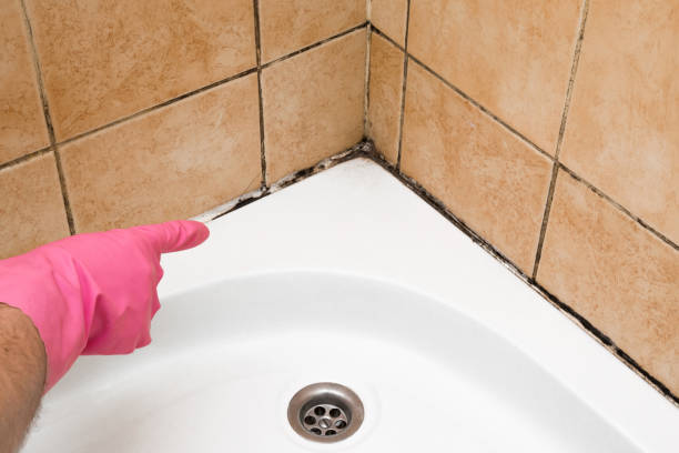 Best Residential Mold Removal  in Somerville, TX